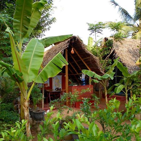 Homestay Camping Anuradhápura Exteriér fotografie