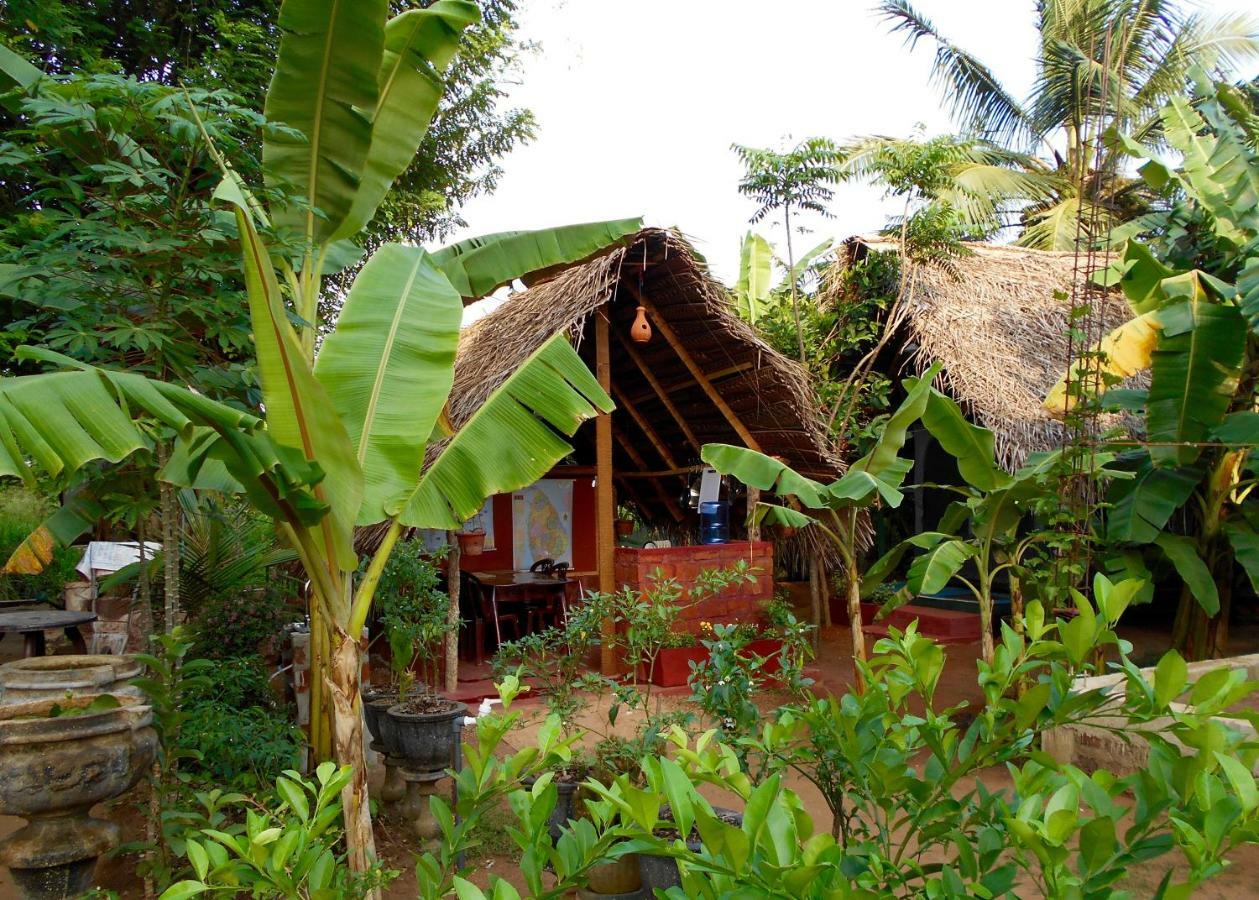 Homestay Camping Anuradhápura Exteriér fotografie