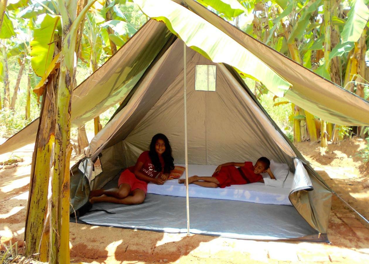 Homestay Camping Anuradhápura Exteriér fotografie