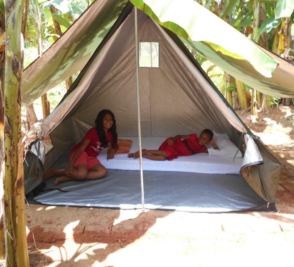 Homestay Camping Anuradhápura Exteriér fotografie